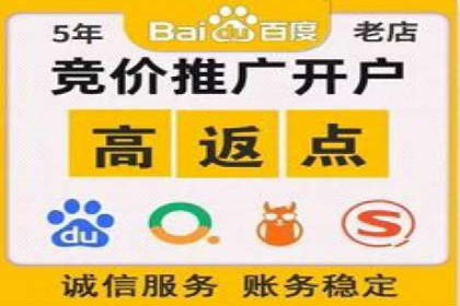 百度竞价广告在旅游行业的应用案例